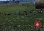 Image of ARVN operation in Vietnam War Vietnam, 1967, second 7 stock footage video 65675025940