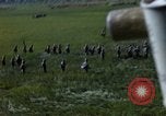 Image of ARVN operation in Vietnam War Vietnam, 1967, second 9 stock footage video 65675025940