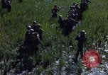 Image of ARVN operation in Vietnam War Vietnam, 1967, second 15 stock footage video 65675025940