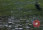 Image of ARVN operation in Vietnam War Vietnam, 1967, second 16 stock footage video 65675025940