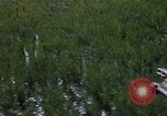 Image of ARVN operation in Vietnam War Vietnam, 1967, second 18 stock footage video 65675025940