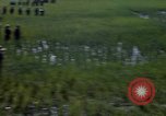Image of ARVN operation in Vietnam War Vietnam, 1967, second 23 stock footage video 65675025940
