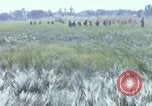 Image of ARVN operation in Vietnam War Vietnam, 1967, second 37 stock footage video 65675025940