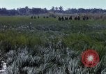 Image of ARVN operation in Vietnam War Vietnam, 1967, second 40 stock footage video 65675025940