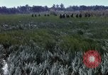 Image of ARVN operation in Vietnam War Vietnam, 1967, second 41 stock footage video 65675025940