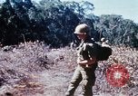 Image of enemy sweep Vietnam, 1969, second 22 stock footage video 65675025951