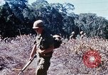 Image of enemy sweep Vietnam, 1969, second 23 stock footage video 65675025951