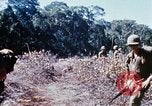 Image of enemy sweep Vietnam, 1969, second 25 stock footage video 65675025951