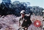 Image of enemy sweep Vietnam, 1969, second 27 stock footage video 65675025951