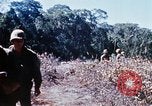 Image of enemy sweep Vietnam, 1969, second 33 stock footage video 65675025951