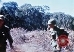 Image of enemy sweep Vietnam, 1969, second 35 stock footage video 65675025951