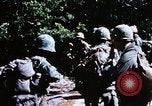 Image of enemy sweep Vietnam, 1969, second 43 stock footage video 65675025951