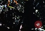 Image of enemy sweep Vietnam, 1969, second 51 stock footage video 65675025951