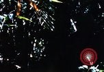 Image of enemy sweep Vietnam, 1969, second 52 stock footage video 65675025951