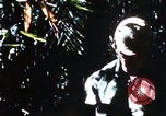 Image of enemy sweep Vietnam, 1969, second 54 stock footage video 65675025951