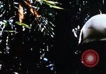 Image of enemy sweep Vietnam, 1969, second 56 stock footage video 65675025951
