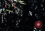 Image of enemy sweep Vietnam, 1969, second 57 stock footage video 65675025951