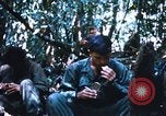 Image of 4th Infantry Division Vietnam, 1969, second 13 stock footage video 65675025952