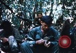 Image of 4th Infantry Division Vietnam, 1969, second 14 stock footage video 65675025952