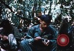 Image of 4th Infantry Division Vietnam, 1969, second 15 stock footage video 65675025952
