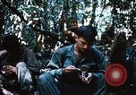Image of 4th Infantry Division Vietnam, 1969, second 17 stock footage video 65675025952
