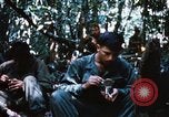 Image of 4th Infantry Division Vietnam, 1969, second 20 stock footage video 65675025952
