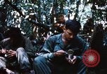 Image of 4th Infantry Division Vietnam, 1969, second 24 stock footage video 65675025952