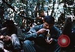 Image of 4th Infantry Division Vietnam, 1969, second 25 stock footage video 65675025952