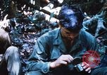 Image of 4th Infantry Division Vietnam, 1969, second 28 stock footage video 65675025952