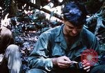 Image of 4th Infantry Division Vietnam, 1969, second 32 stock footage video 65675025952