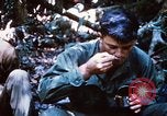 Image of 4th Infantry Division Vietnam, 1969, second 33 stock footage video 65675025952