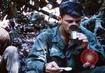 Image of 4th Infantry Division Vietnam, 1969, second 34 stock footage video 65675025952