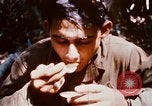 Image of 4th Infantry Division Vietnam, 1969, second 38 stock footage video 65675025952