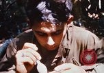 Image of 4th Infantry Division Vietnam, 1969, second 40 stock footage video 65675025952
