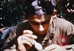 Image of 4th Infantry Division Vietnam, 1969, second 41 stock footage video 65675025952
