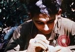 Image of 4th Infantry Division Vietnam, 1969, second 42 stock footage video 65675025952
