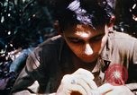 Image of 4th Infantry Division Vietnam, 1969, second 43 stock footage video 65675025952