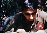 Image of 4th Infantry Division Vietnam, 1969, second 45 stock footage video 65675025952
