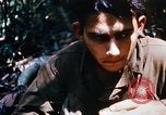 Image of 4th Infantry Division Vietnam, 1969, second 47 stock footage video 65675025952