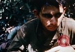 Image of 4th Infantry Division Vietnam, 1969, second 49 stock footage video 65675025952