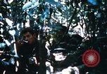 Image of 4th Infantry Division Vietnam, 1969, second 51 stock footage video 65675025952