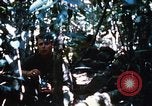 Image of 4th Infantry Division Vietnam, 1969, second 53 stock footage video 65675025952
