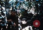 Image of 4th Infantry Division Vietnam, 1969, second 54 stock footage video 65675025952