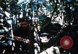 Image of 4th Infantry Division Vietnam, 1969, second 56 stock footage video 65675025952