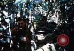Image of 4th Infantry Division Vietnam, 1969, second 58 stock footage video 65675025952