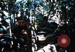 Image of 4th Infantry Division Vietnam, 1969, second 59 stock footage video 65675025952