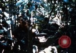 Image of 4th Infantry Division Vietnam, 1969, second 60 stock footage video 65675025952