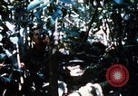 Image of 4th Infantry Division Vietnam, 1969, second 61 stock footage video 65675025952
