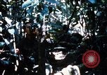 Image of 4th Infantry Division Vietnam, 1969, second 62 stock footage video 65675025952