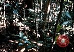 Image of 4th Infantry Division in Vietnam War Vietnam, 1969, second 23 stock footage video 65675025953